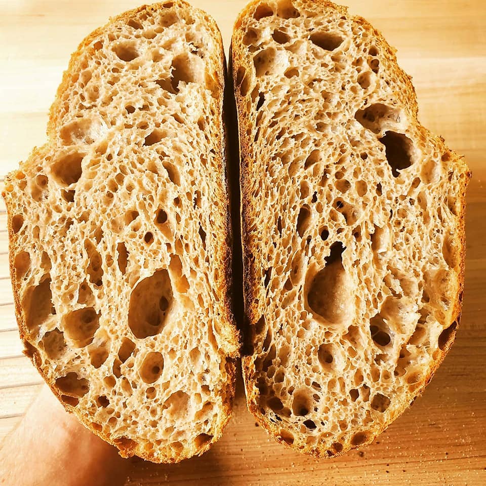 Dehydrated Sourdough Starter Packet - Homestead Gristmill