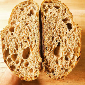 Dehydrated Sourdough Starter Packet - Homestead Gristmill